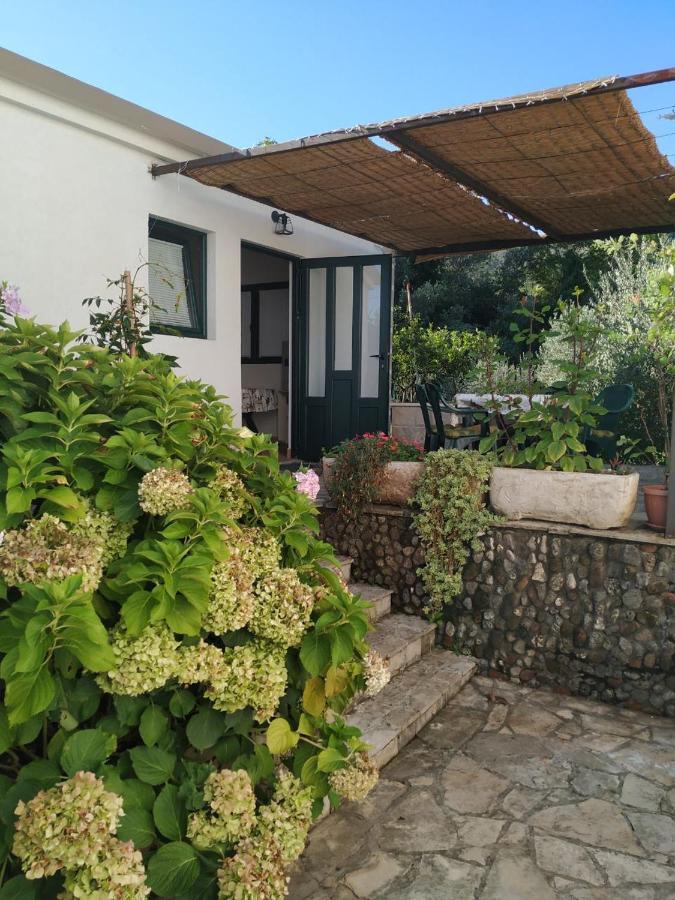 Kjara Apartments Tivat Buitenkant foto